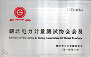 湖北電力計量測試協(xié)會會員