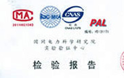 國(guó)網(wǎng)電科院檢驗(yàn)報(bào)告