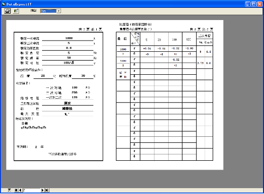全自動(dòng)互感器校驗(yàn)裝置軟件打印界面